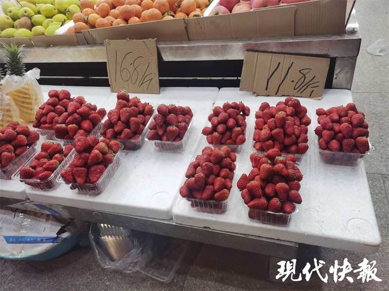 草莓论盒卖，桑葚一碗端，“莓果家族”价格降降降！1