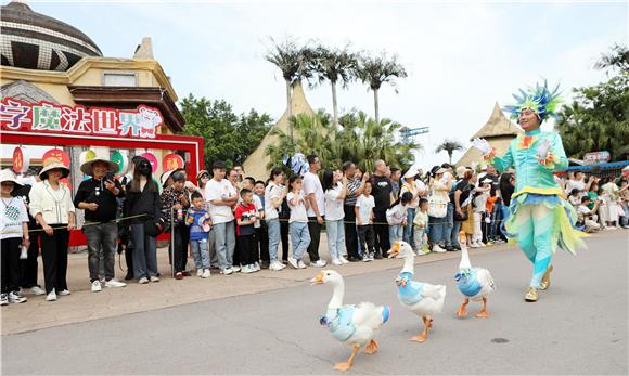 鹅在动物入场式上行走。通讯员 陈仕川 摄