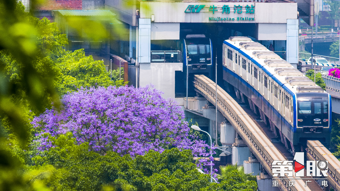 乘客：满意！轨道3号线高峰满载率明显下降4
