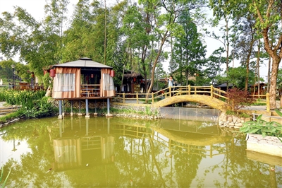 3近日，万石耕春·碗米民宿，游客在小微湿地景观游玩。记者 向成国 摄
