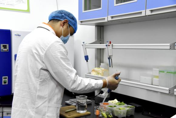 重庆綦优鲜供应链管理有限公司工作人员对菜品进行农残检测。通讯员 刘琦 摄