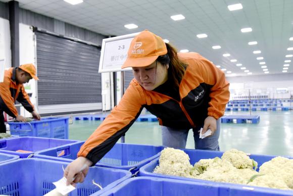 工作人员为每框蔬菜贴上溯源二维码。通讯员 刘琦 摄