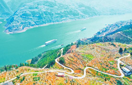 巫山县曲尺乡权发村,处处花果飘香。记者 卢先庆 摄