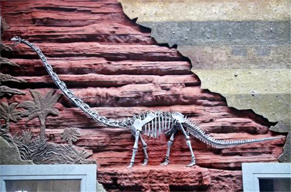 2“长寿峨眉龙”化石骨架。记者 李杉 摄