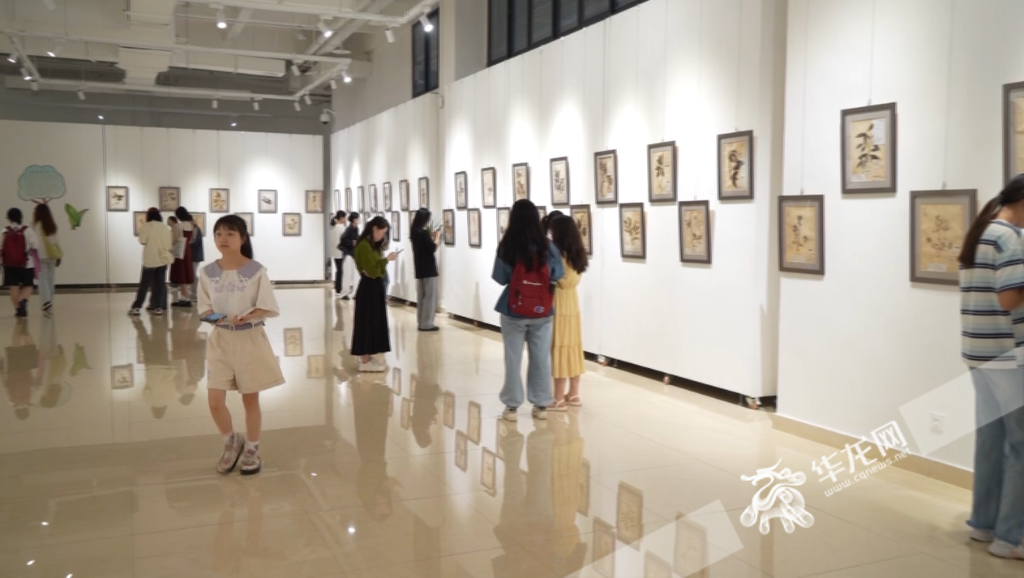展览现场。华龙网-新重庆客户端 记者 秦思思 摄