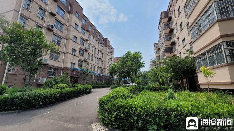 在河南鹤壁1千元买套房 当事人称买着玩 并不是真实的鹤壁3