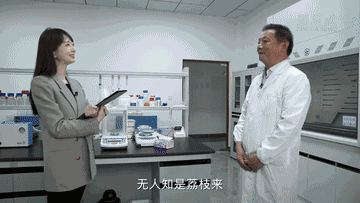 1300岁的荔枝树，唐朝人吃的也是这种味道吗？7