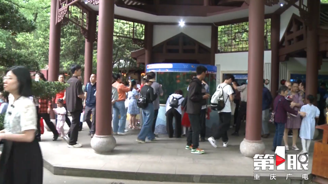 日接待12万人次！历史新高！这个“五一”重庆动物园人气旺