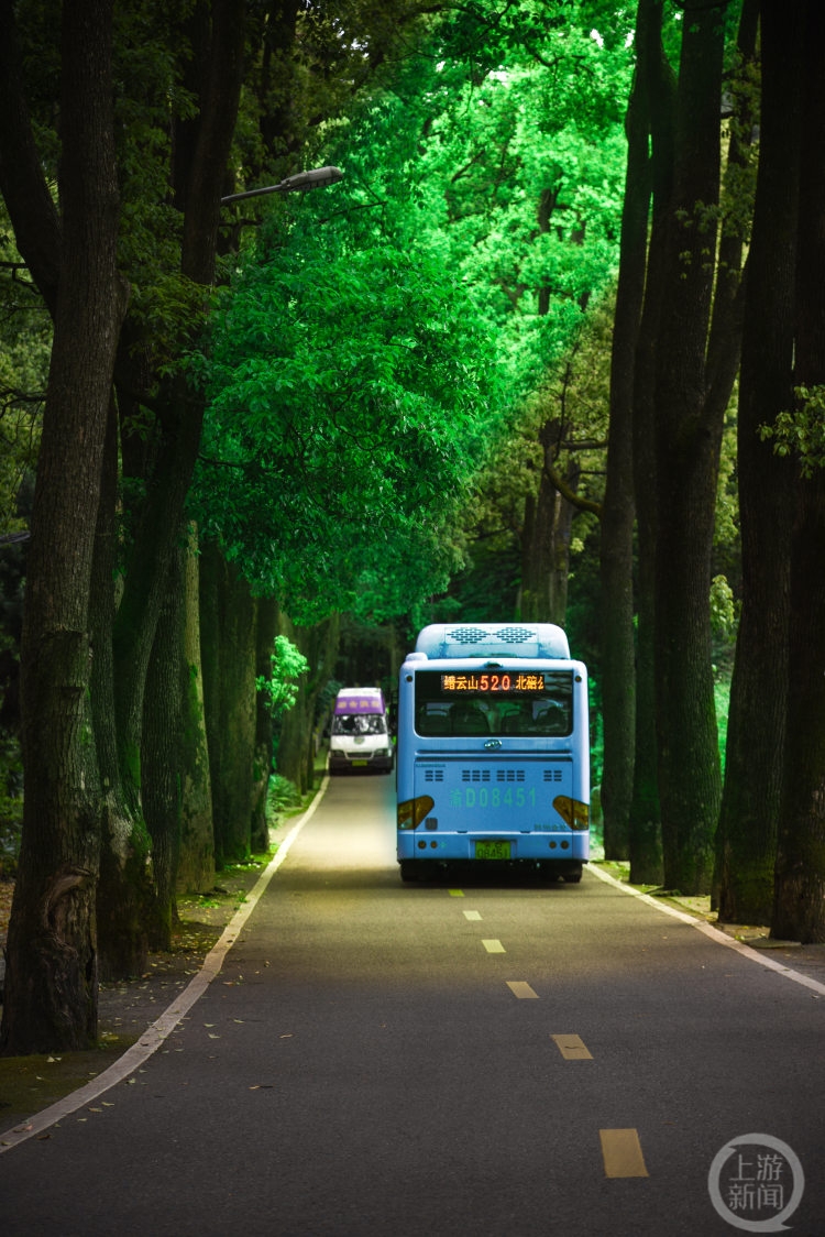 重庆有条“520”公交车！你坐过吗？1