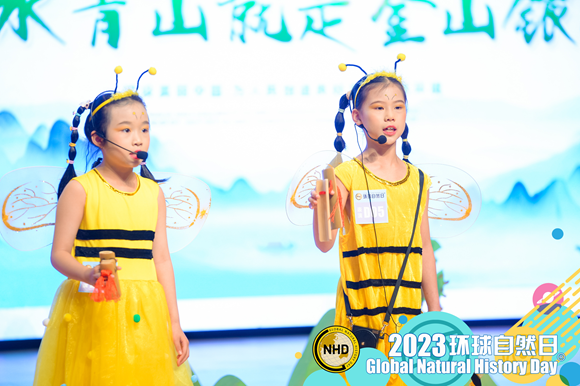 图片6