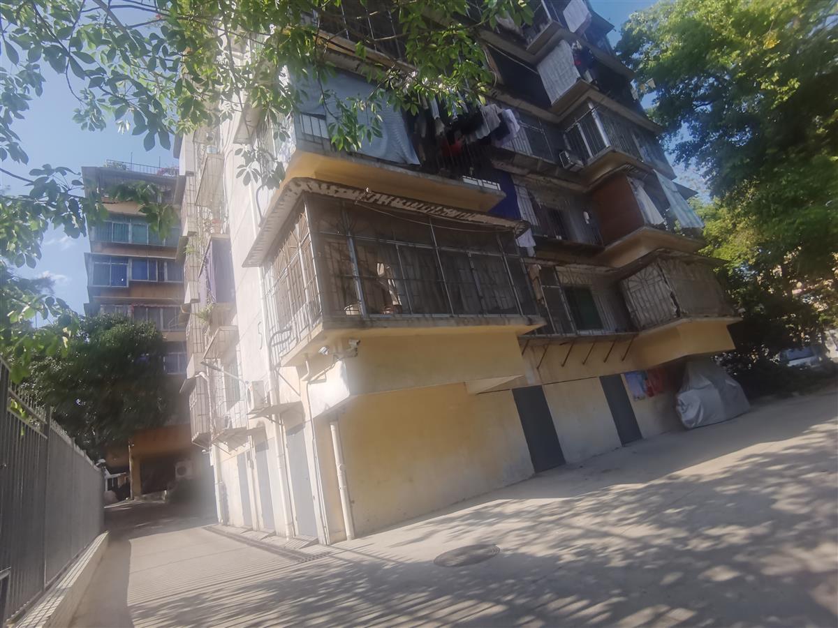 吴谢宇弑母：一个高材生的陨落1