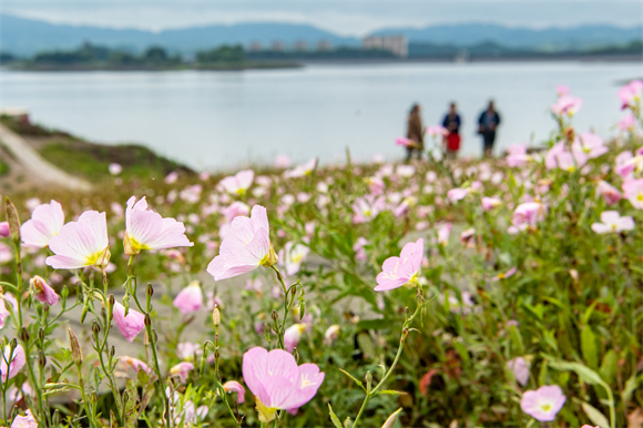 游客在重庆市长寿湖风景区游玩。新华社记者 唐奕 摄