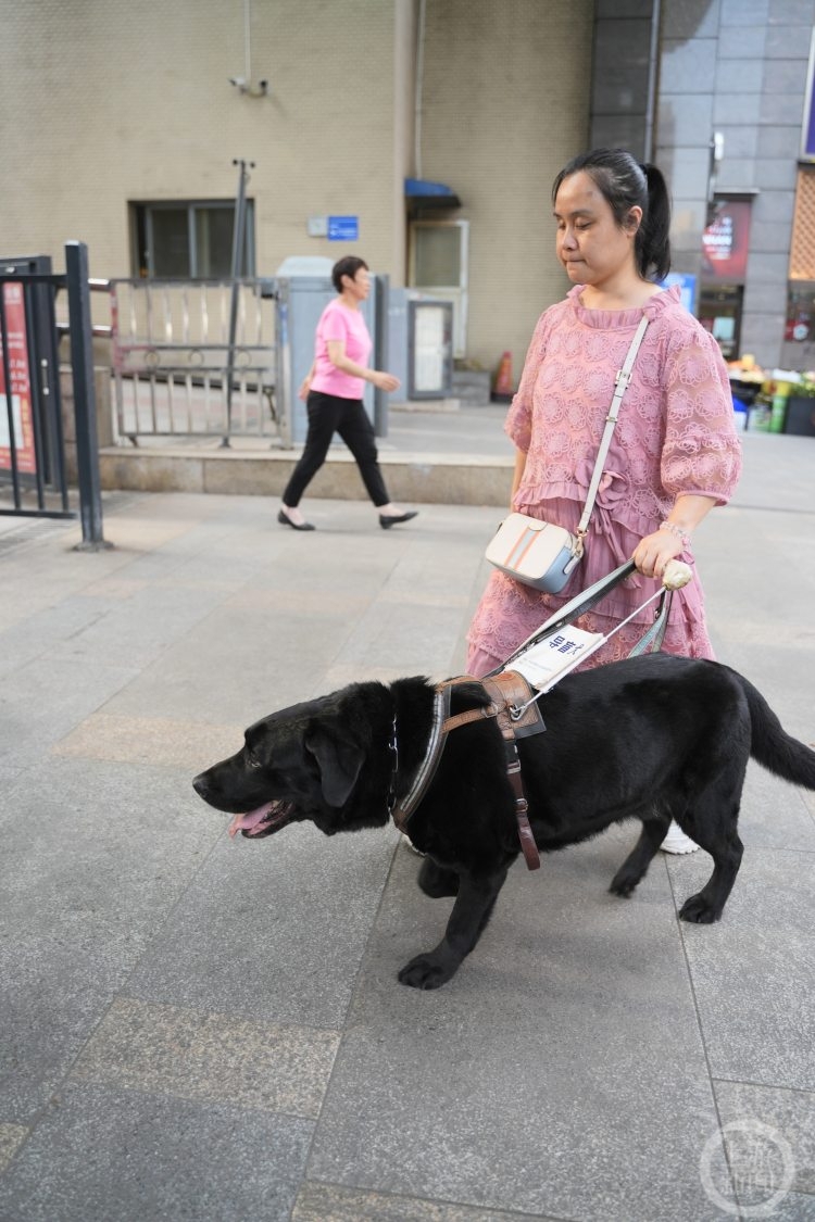 重庆第一只导盲犬“拉多”：谢谢你八年的深情陪伴 我愿陪你变老5