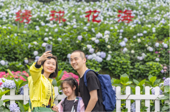 5月20日，游客在柏树村绣球花基地合影。新华社记者 黄伟 摄