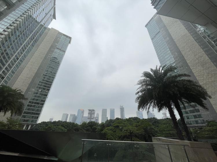 探访广州最贵法拍住宅：中介称该房为“楼王”1.1亿是意料之中3
