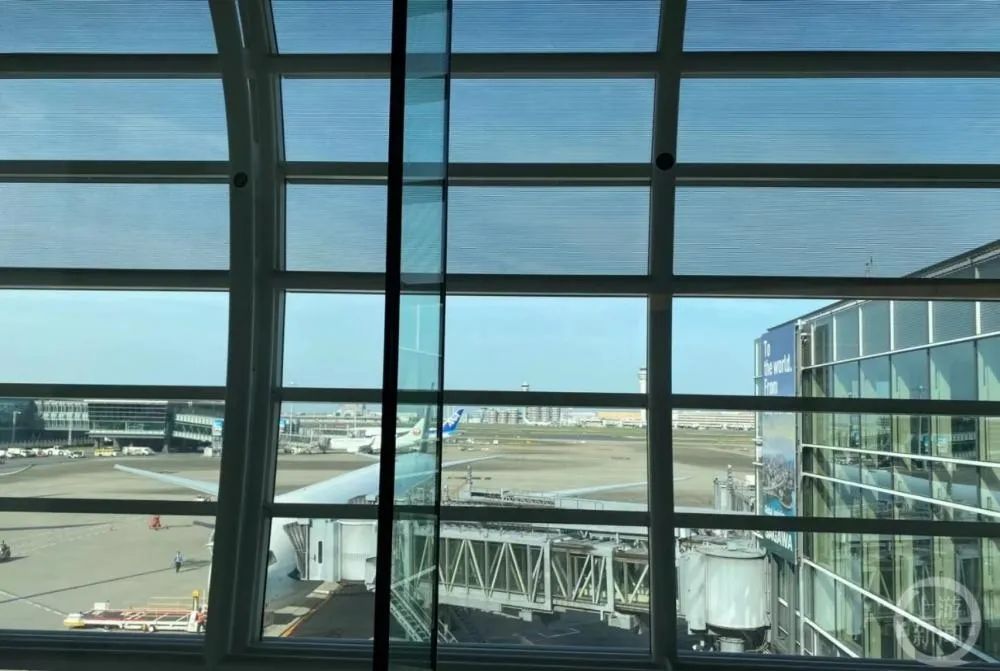 多名乘客讲述乘坐国泰航空经历：空乘对外国人殷勤3