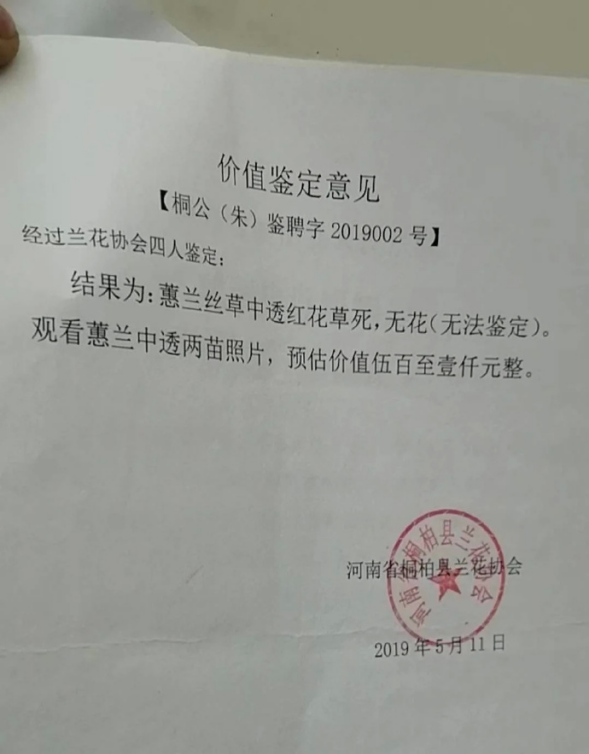 掐走两枝兰花，农妇被判刑三年 此量刑是否过于严苛？