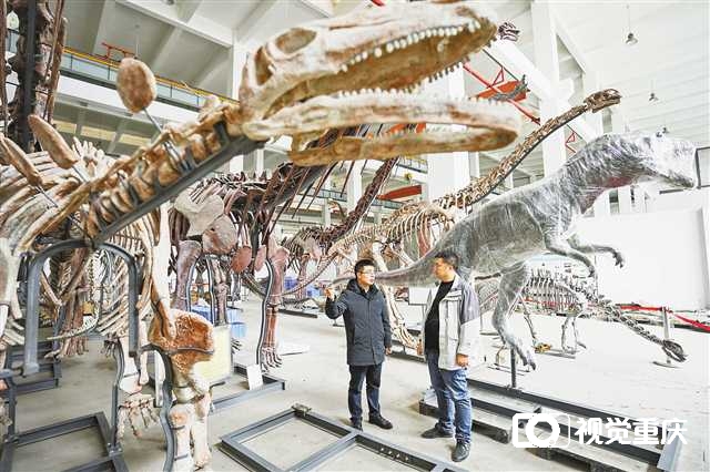 川渝共建古生物与古环境协同演化重庆市重点实验室：看云阳恐龙和自贡恐龙有多亲密1