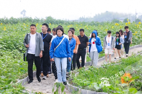 媒體記者在花仙子·萬花園參觀采訪。華龍網-新重慶客戶端記者 歐武夷 攝