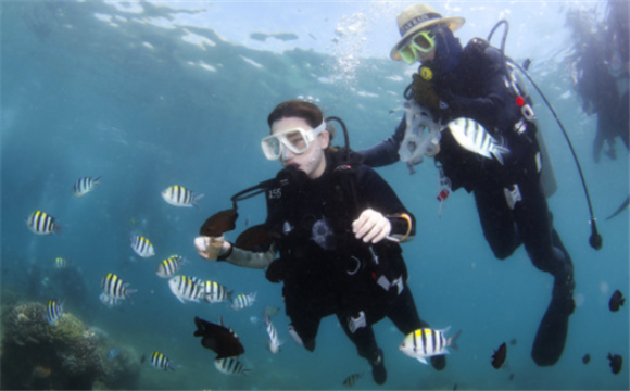 5月27日，游客在分界洲岛附近海域体验潜水。新华社记者 杨冠宇 摄