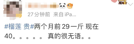 贵到离谱！短短20多天变“刺客” 涨到300元一个……网友看懵：为啥涨成这样了？11