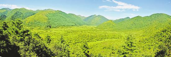2重庆五里坡国家级自然保护区景象。巫山县林业局供图
