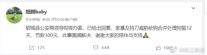 男子砍死柯基威胁妻子，被拘留12天2