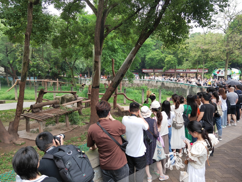 6月1日到6月4日，重庆动物园将开展为期四天的“欢度六一”庆祝活动。华龙网-新重庆客户端记者 谢鹏飞 摄