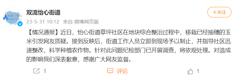 成都双流“广场移栽玉米秆”引质疑，当地曾“水泥地上种油菜”1
