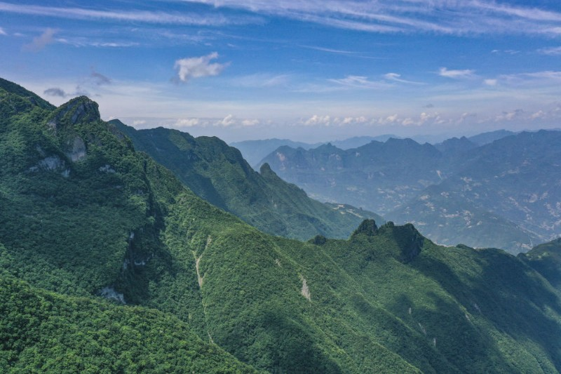 重庆阴条岭国家级自然保护区。重庆市林业局供图
