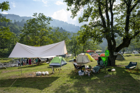 5月29日，游客在坪河草地景区露营。新华社记者 陈欣波 摄