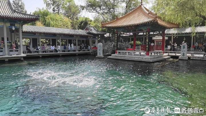 再创“新高度”！趵突泉地下水位四连涨，这项纪录再次被刷新