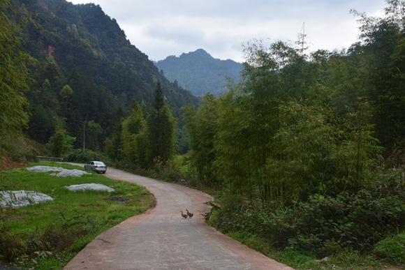 神龙口山内的公路。李定超 摄影