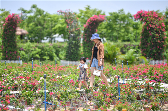 游客在海南花梨谷文化旅游区游玩。新华社记者 蒲晓旭 摄