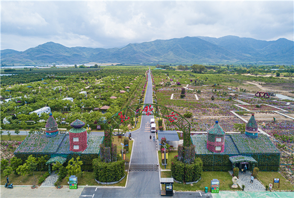 在海南省东方市拍摄的海南花梨谷文化旅游区（无人机照片）。新华社记者 蒲晓旭 摄