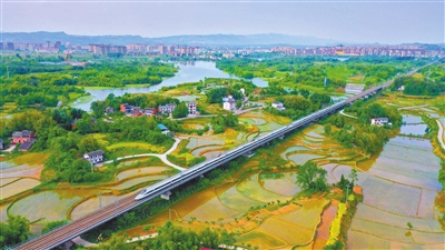 双桂新城，成片的稻田湿地与双桂湖国家湿地公园融为一体，呈现出一幅美丽画卷。记者 刘辉 摄　