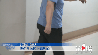 楼梯间里被流浪猫咬伤 投喂者有责任吗？7