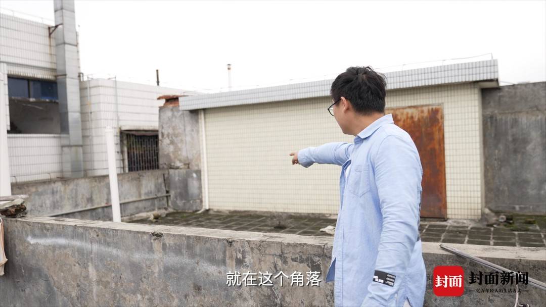 一宗因救助引发的“盗狗案”：夫妇带走无人照看的萨摩耶获刑，案件将重审