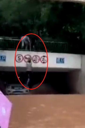 微信截图_20230601131823
