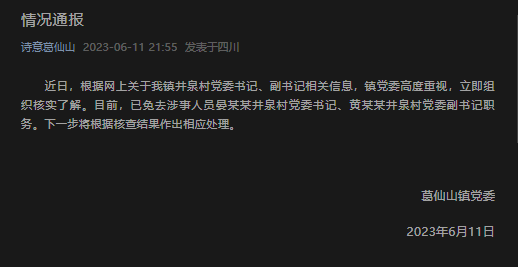 四川一男子自曝村副书记妻子出轨村书记？官方：免去涉事2人职务