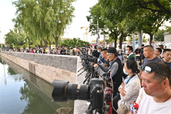 6月11日，人们在拍摄北京故宫角楼。新华社记者 李鑫 摄