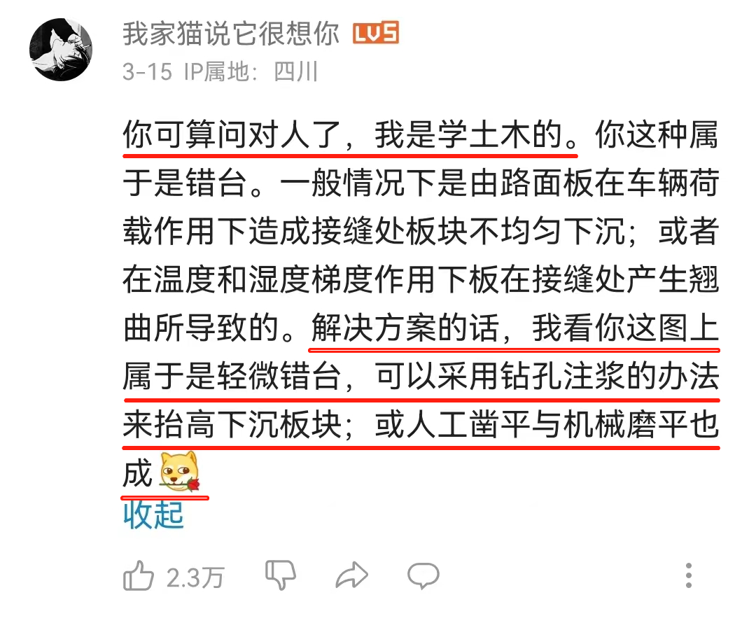 “学不完,根本学不完”,看这届在视频平台搞学习的年轻人5