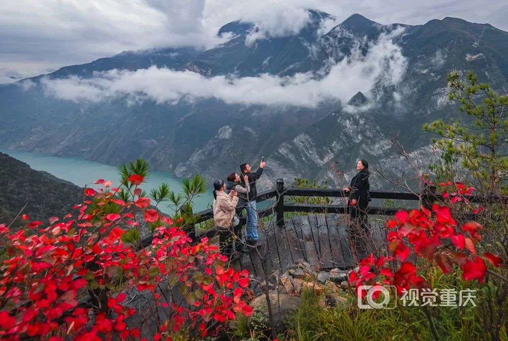 打好这张“公园牌”，重庆这样做3