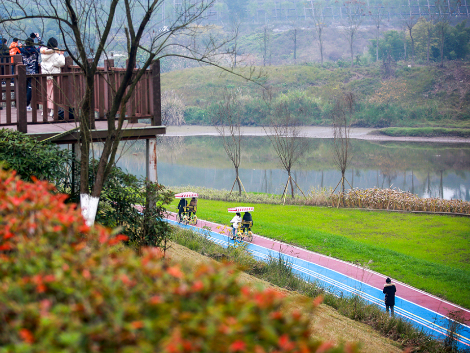 山城步道已成为重庆城市的一张名片。重庆市住房城乡建委供图