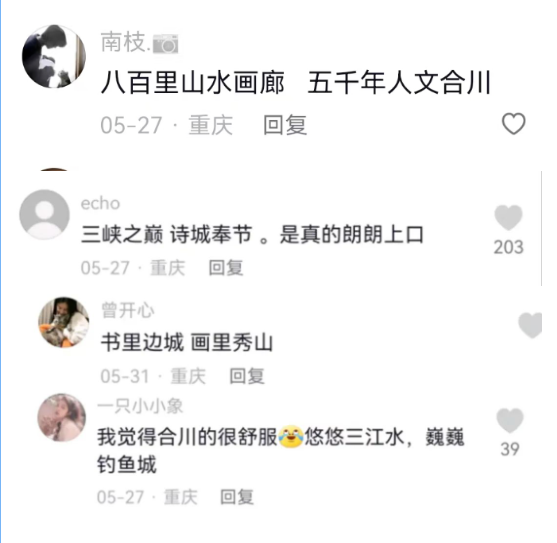 新3