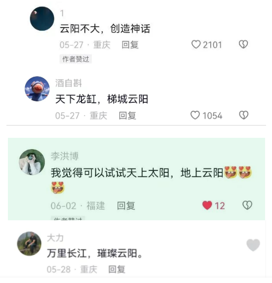 新1