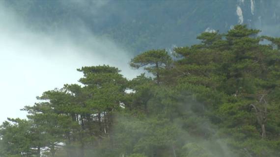 庐山五老峰：磅礴云海入画来2