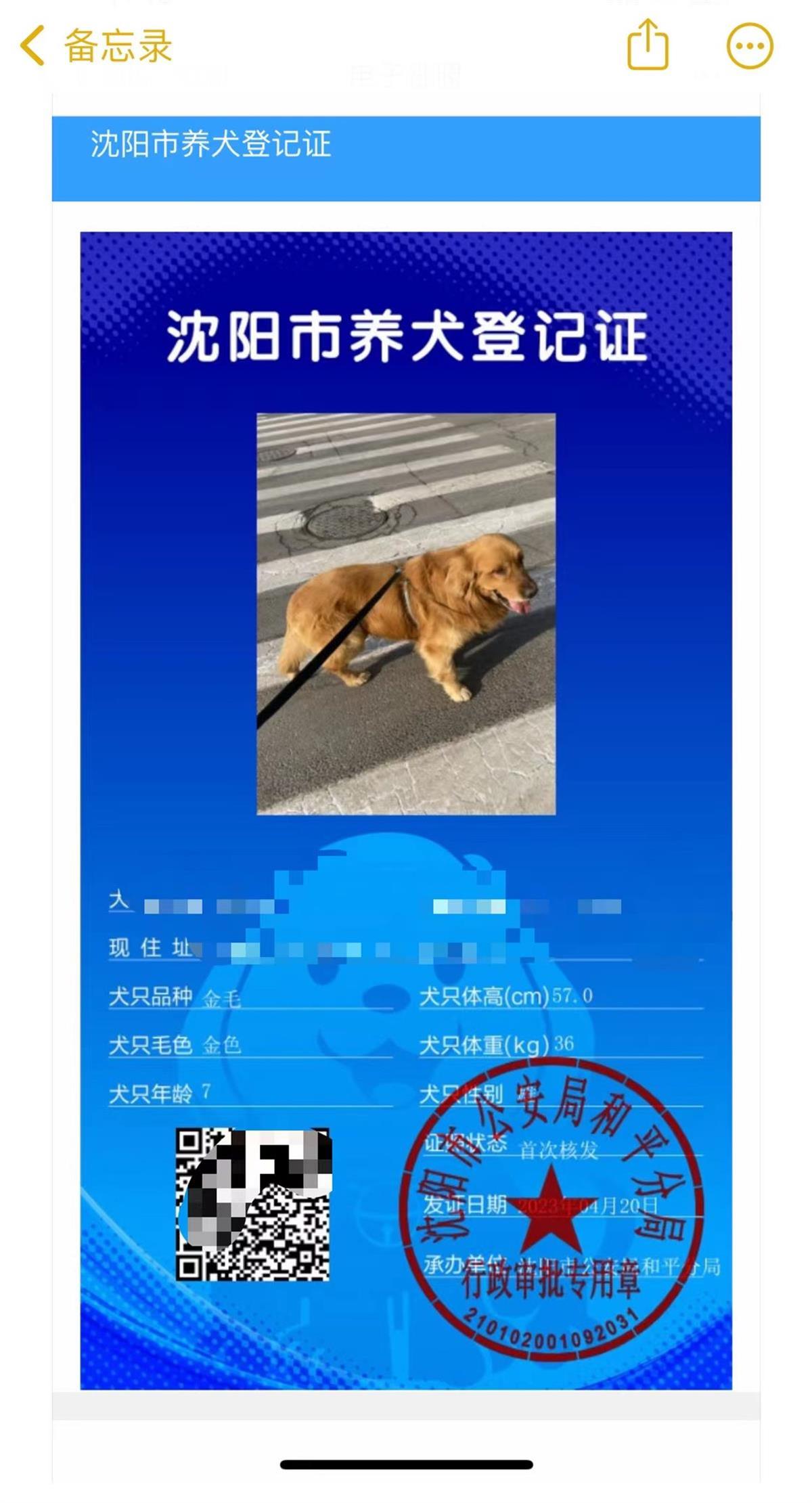 大学生“以证换狗”走红背后：有人收到上百名学生的遛狗请求，律师称帮忙遛狗需划分责任2
