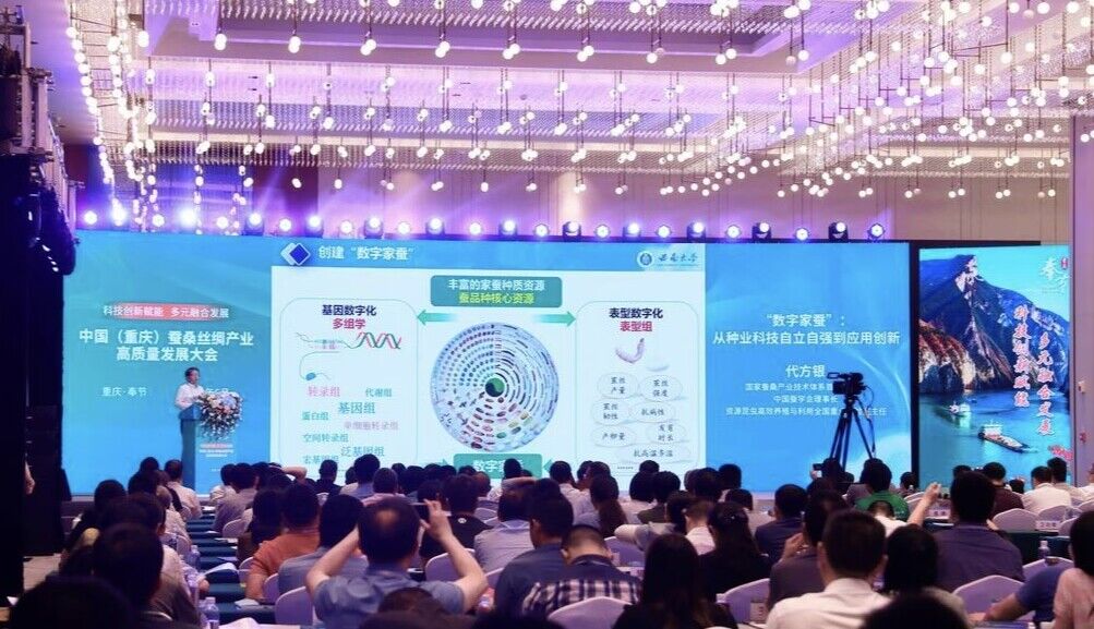 2023中国（重庆）蚕桑丝绸产业高质量发展大会，专家学者做主题分享。奉节县委宣传部供图 华龙网发