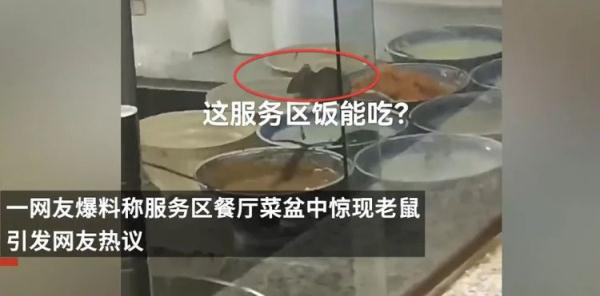 河南平顶山服务区菜盘惊现老鼠,官方:停业整改并立案查处